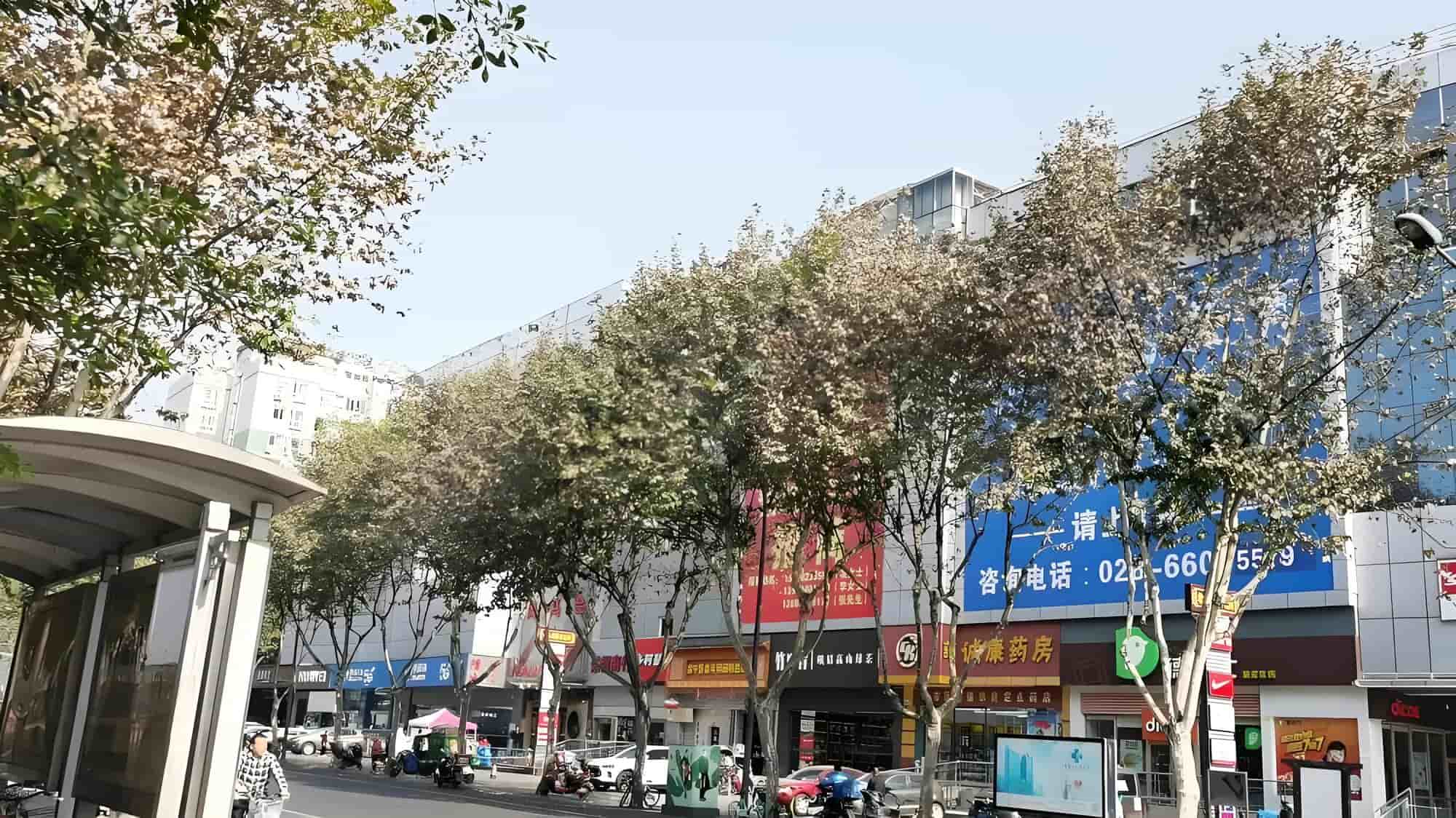 洛克中心